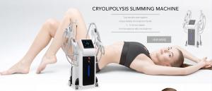 China 2019 lastest CE approval body slimming 4 handles cryolipolysis freezefats machine on sale 