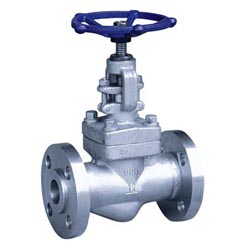 Forged steel Flanged End Globe Valve