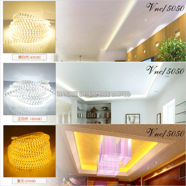 IP65 Water Proof Decorative Flexible Led Strips 3528 SMD Christmas Light Strip