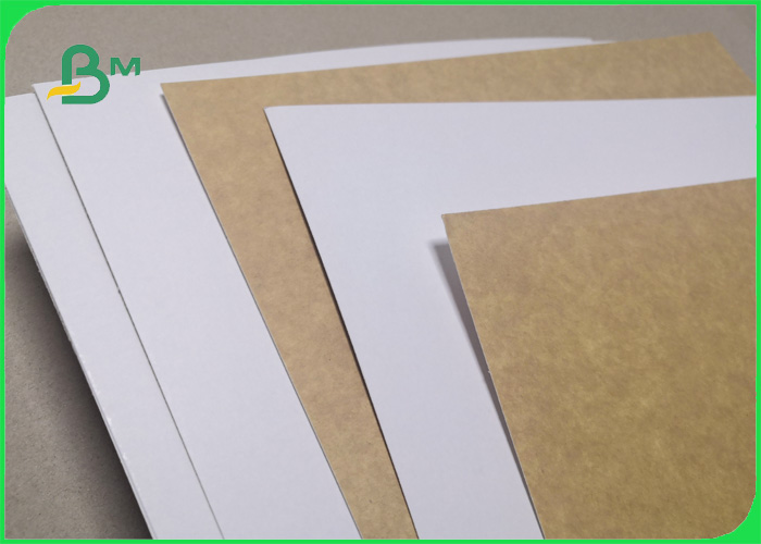 300gsm Clay Coated 1s Kraft Back For Cake Box Tear Resistant 28 x 44inch