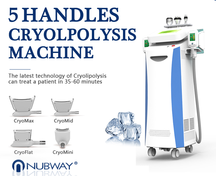 OEM/ODM FDA/Medical CE approved Weight Loss slimming criolipolisis cryolipo cool tech fat freezing cryolipolysis machine