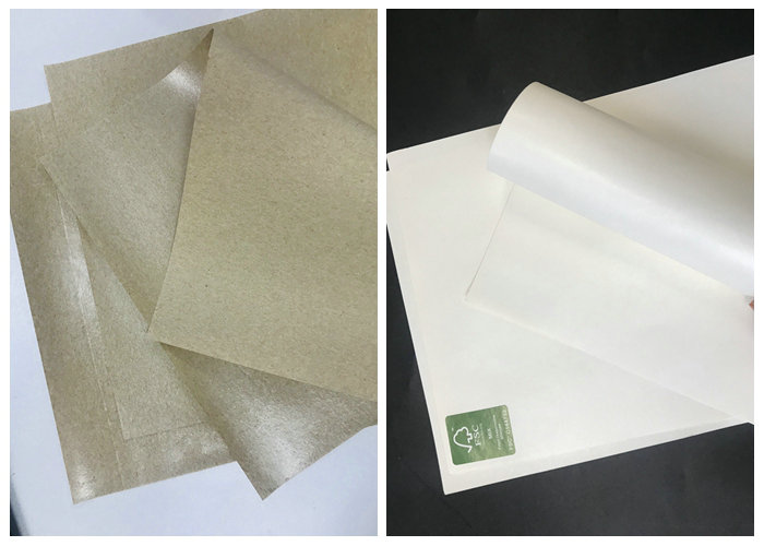 40G TO 350G C1S White Craft Paper/ Ivory Board with PE coated Cup Paper Reels