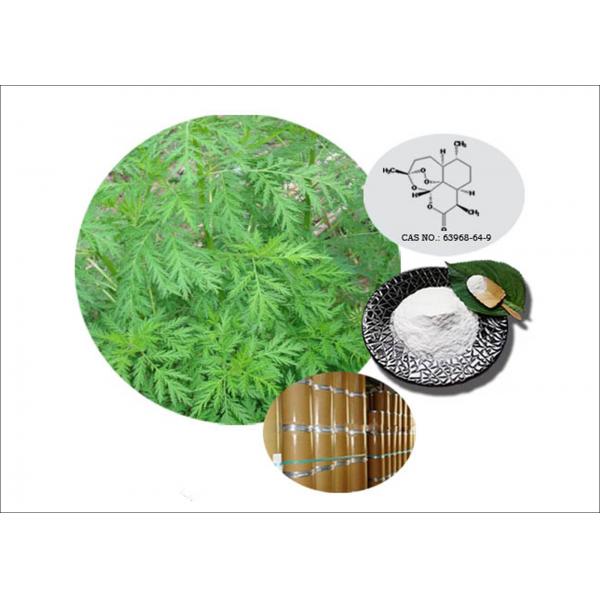 antimalarial agent natural sweet wormwood extract