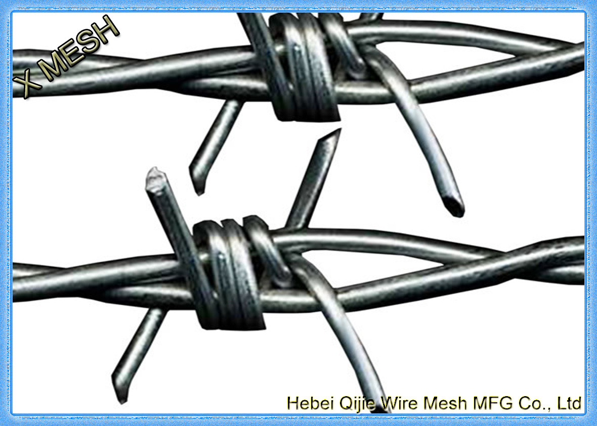 galvanized barbed wire-GBW003
