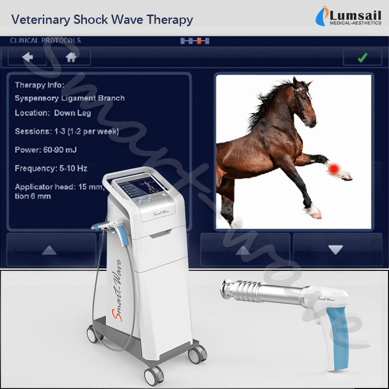 Physiotherapy veterinary small pets use extracorporeal shockwave therapy horse shock wave machine Equine