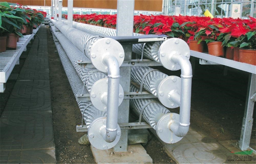 Commercial Tomato Planting Sunlight Greenhouse Solution
