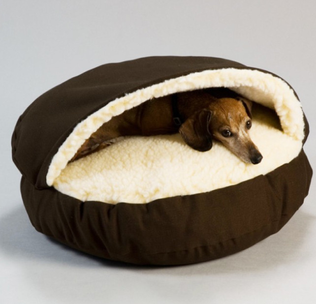 dog sleeping bag bed