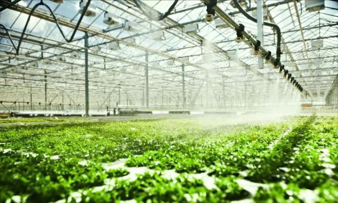 Temperature-Regulated Planting Facility by Juxiang