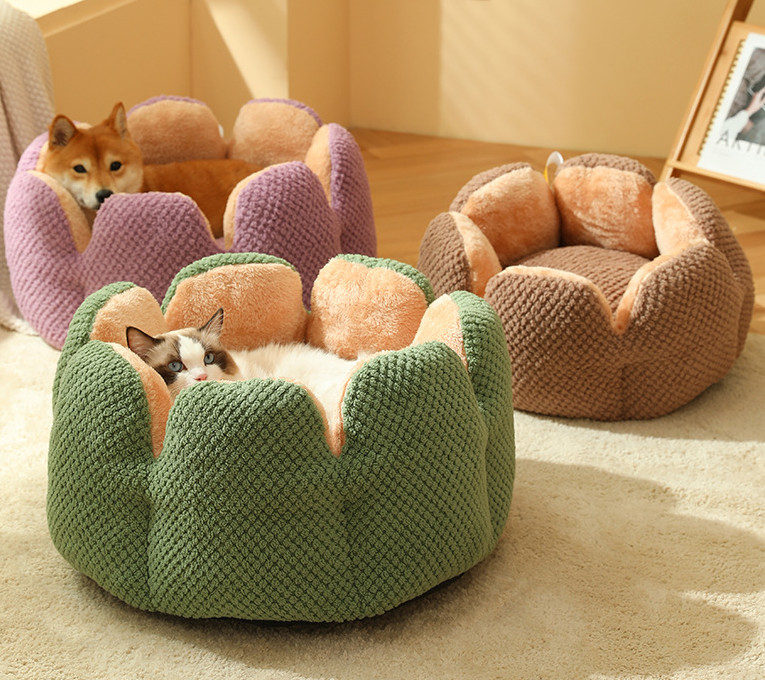 a cat bed