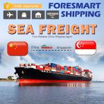 TUV Ocean Freight From China To Singapore Freight Forwarder