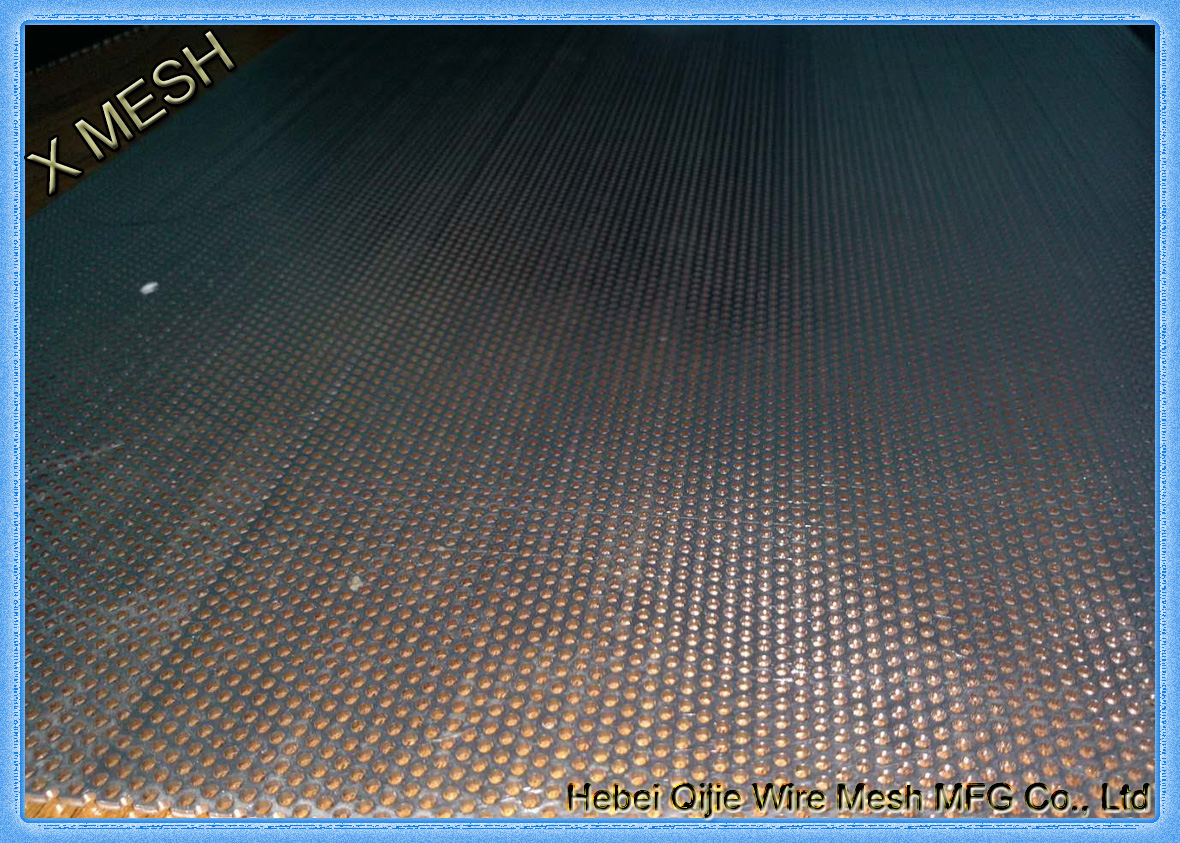Stainless Steel Perforated Metal Sheet-001