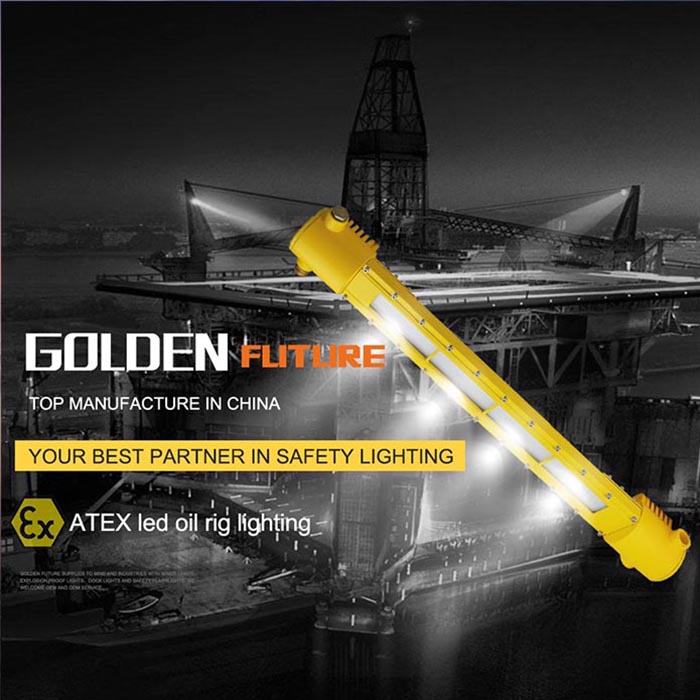 2021 New DL618 ATEX 40W 80W Offshore Oilfield Explosion -Proof Light Anti-hazard Lighting