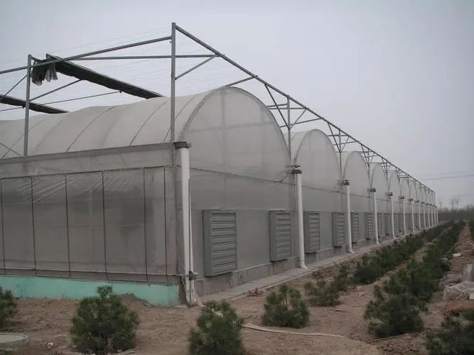 Hot Galvanized Steel Framework Multi-Span Glass Sheet Greenhouse