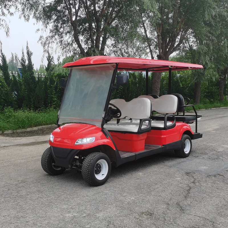 Raysince CE Approved Golf Electric Car Good Quality 6 Seater Electric Golf Carts with Four Seats