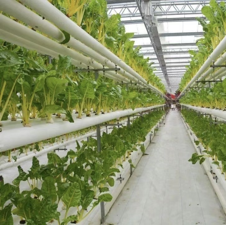 High Tech Low Cost Agricultural Used Plastic Film Hydropoinics Greenhouses Building Material