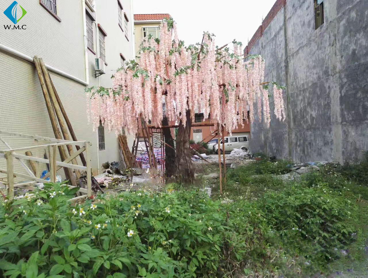 T12099 wisteria hanging.jpg