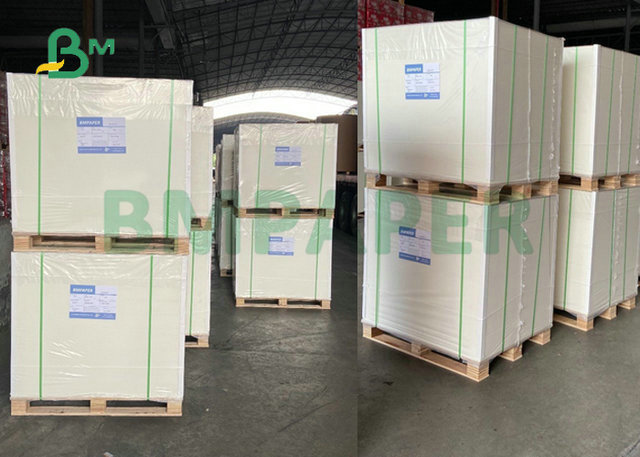80gsm 100gsm 120gsm 640 x 900mm Matte Coated Double Sided Paper For Inkjet Printing 