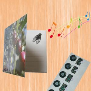 China Recordable voice module for greeting card music sound talk chip musical on sale 