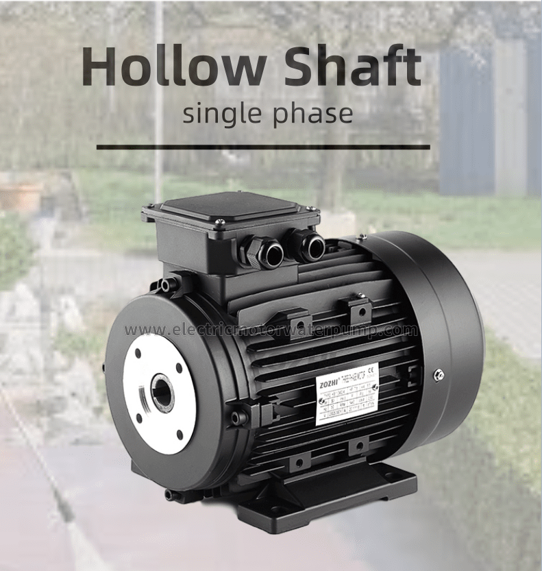 hollow shaft electric motor