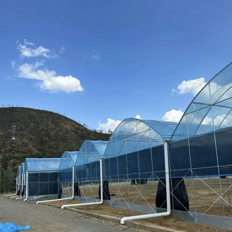 Multi Span Film Greenhouse for Hydroponics Growing