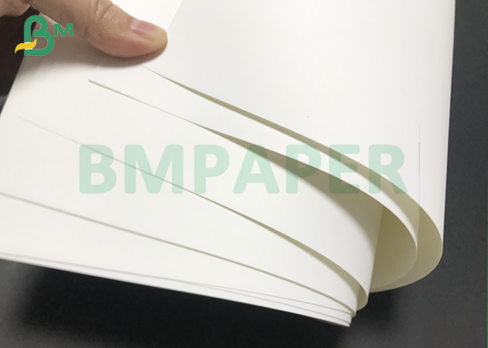 CUPP1S CUPP2S 150gsm To 330gsm Matt PE Coated Bleached Cupstock Paper Roll