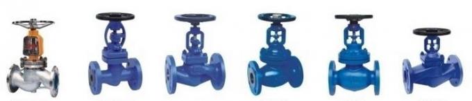PN10 DN50 SDNR Straight Globe Valve With GGG40.3 Ductile Iron Body 1