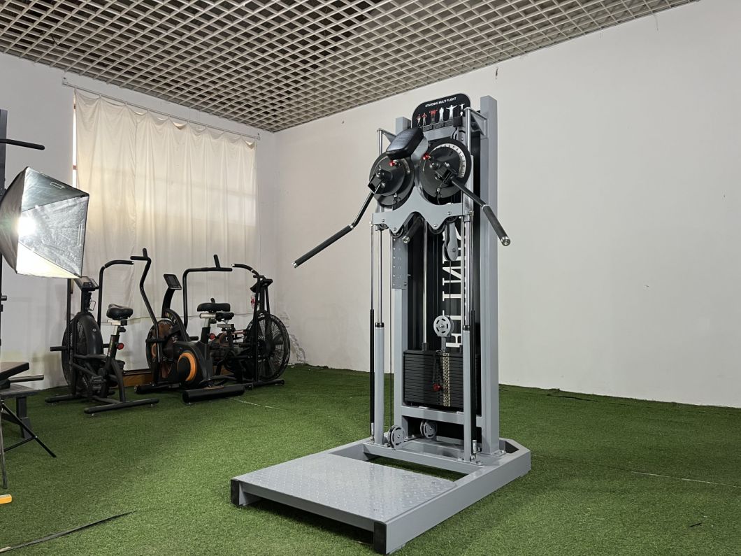 Commercial Gym Equipment Vertical Side Lift
