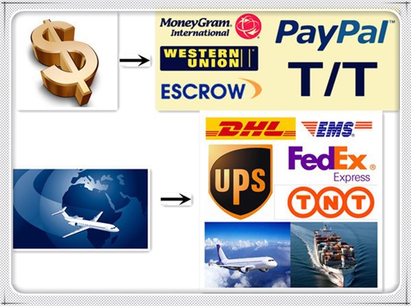 payment & shipping