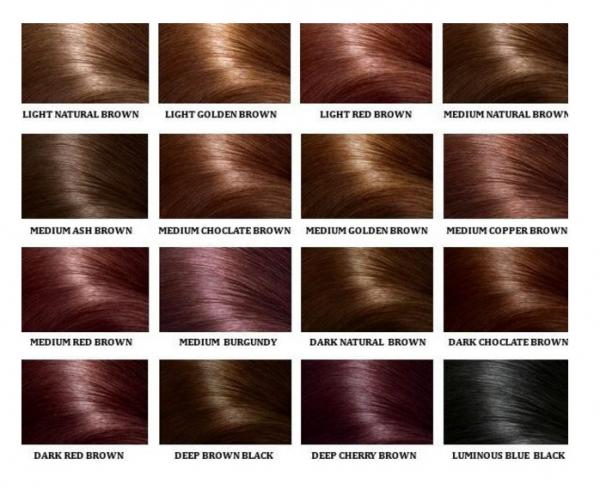 Black Hair Dye Chart
