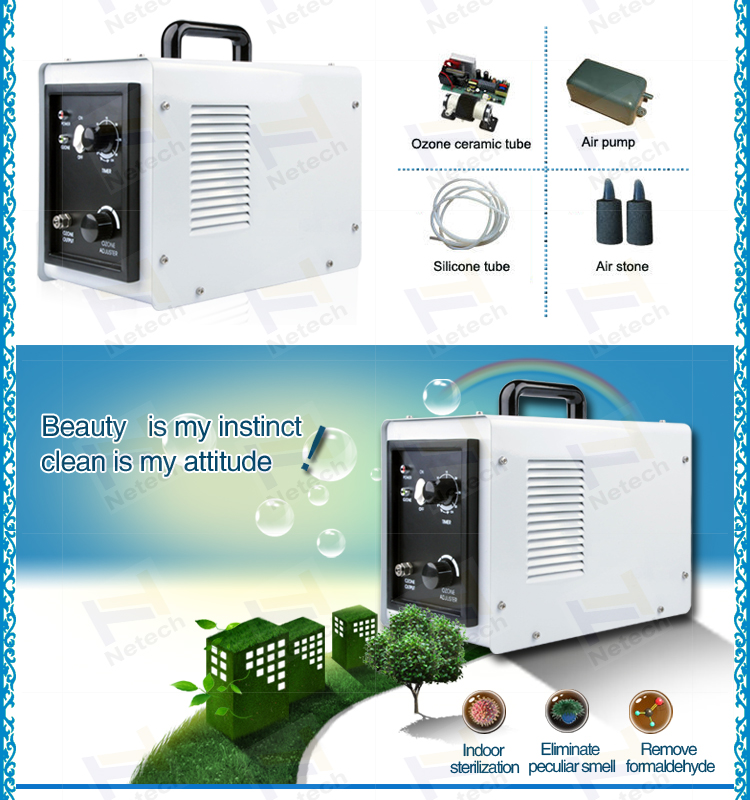 Ionizer Car Air Purifier Ozone Generator 3g 5g 110v High Efficiency
