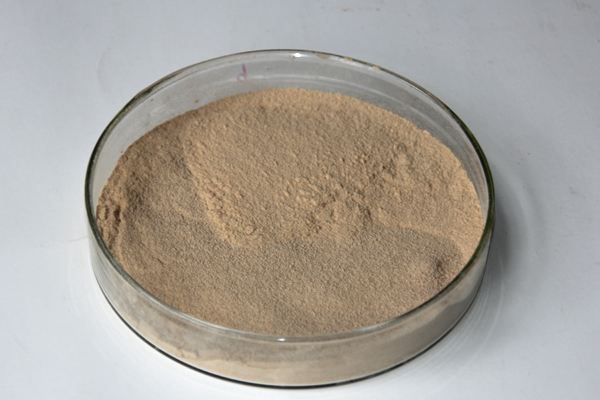 Pure natural Banaba Leaf Extract powder corosolic acid 10% 20% 30%
