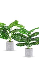 fake plants