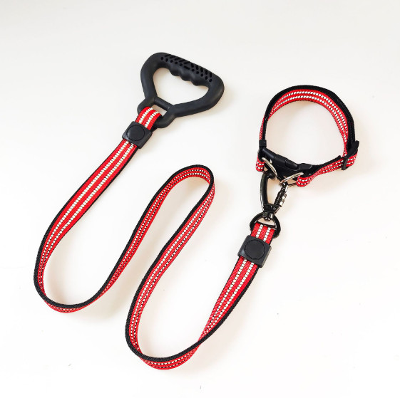strong dog leads for large dogs