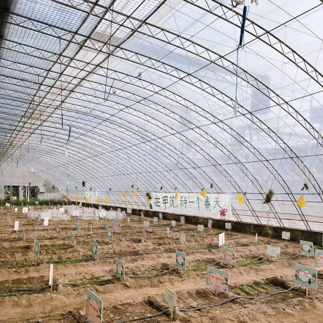 Aquaculture Flower Sunlight Greenhouse System