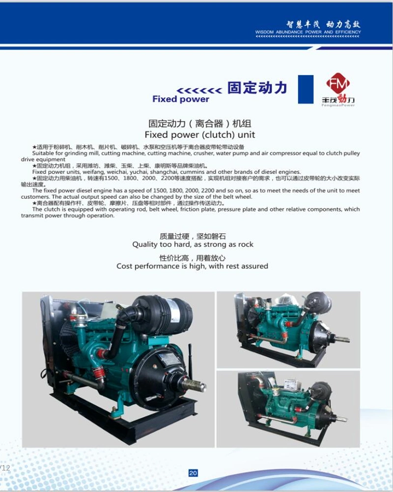 Fixed Power Diesel Crusher Engine Pump Special Clutch Unit