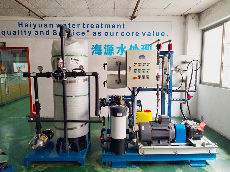 Salt Water Sea Water Desalination Plant Small RO Water Plant Drinking Water Treatment Plant