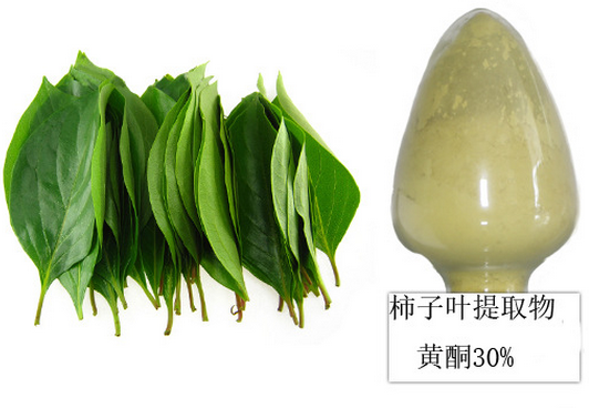 100% Nature Flavonoid 5%-40% UV Persimmon Leaf Extract
