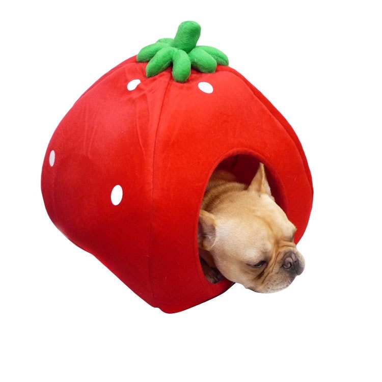 strawberry dog bed