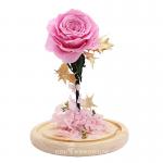 4cm-5CM Preserved Rose Glass Dome For Thanksgiving Day