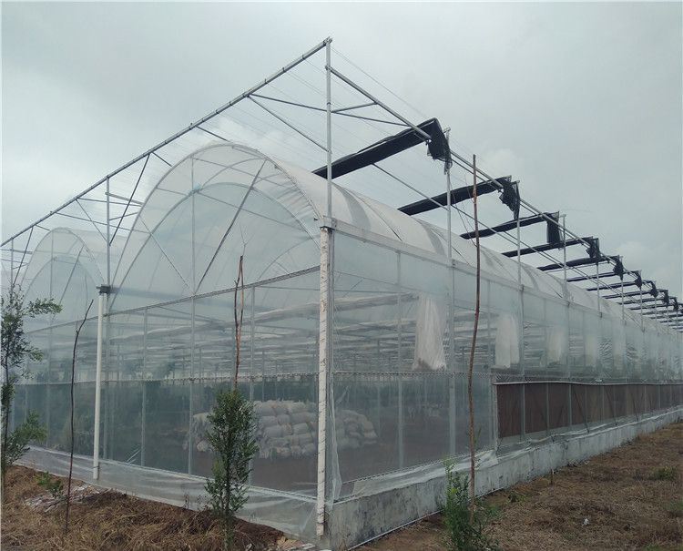 Semi-Closed Glass Greenhouse for Agricultural Farming