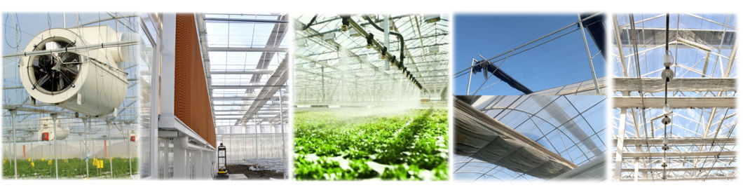 Irrigation System Sunlight Greenhouse for Vegetable
