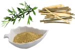 White Willow Bark Extract standardized to 25% Salicin