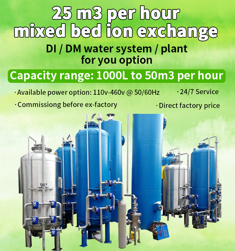 Mixed Bed Water Treatment Demineralizer Mixed Bed Ion Exchanger Mixed Bed