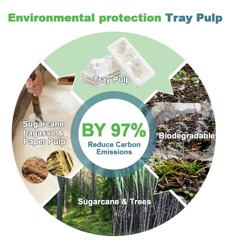 Environmental Protection Tray Pulp