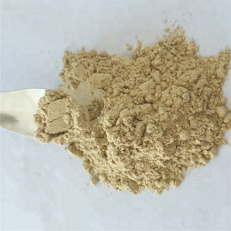 06Bitter Melon Extract