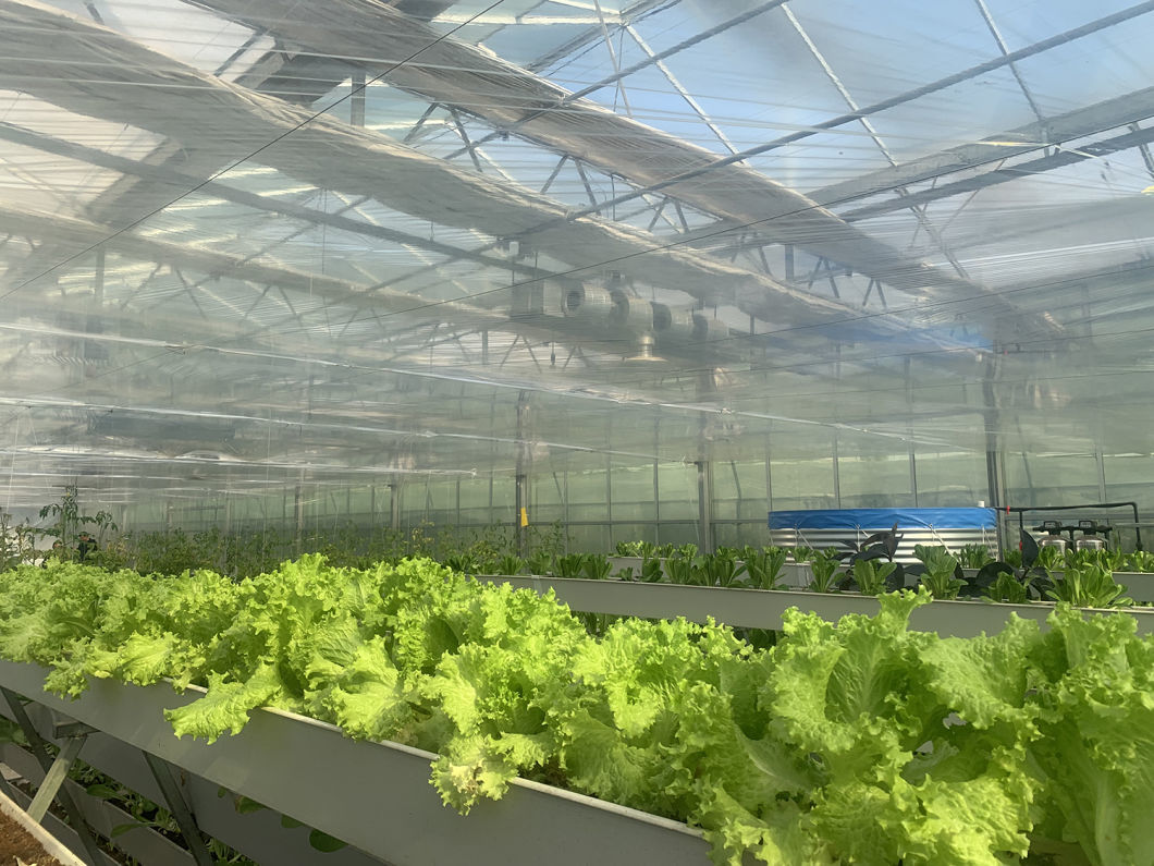 Customizable Multi-Span Hydroponic Greenhouse System