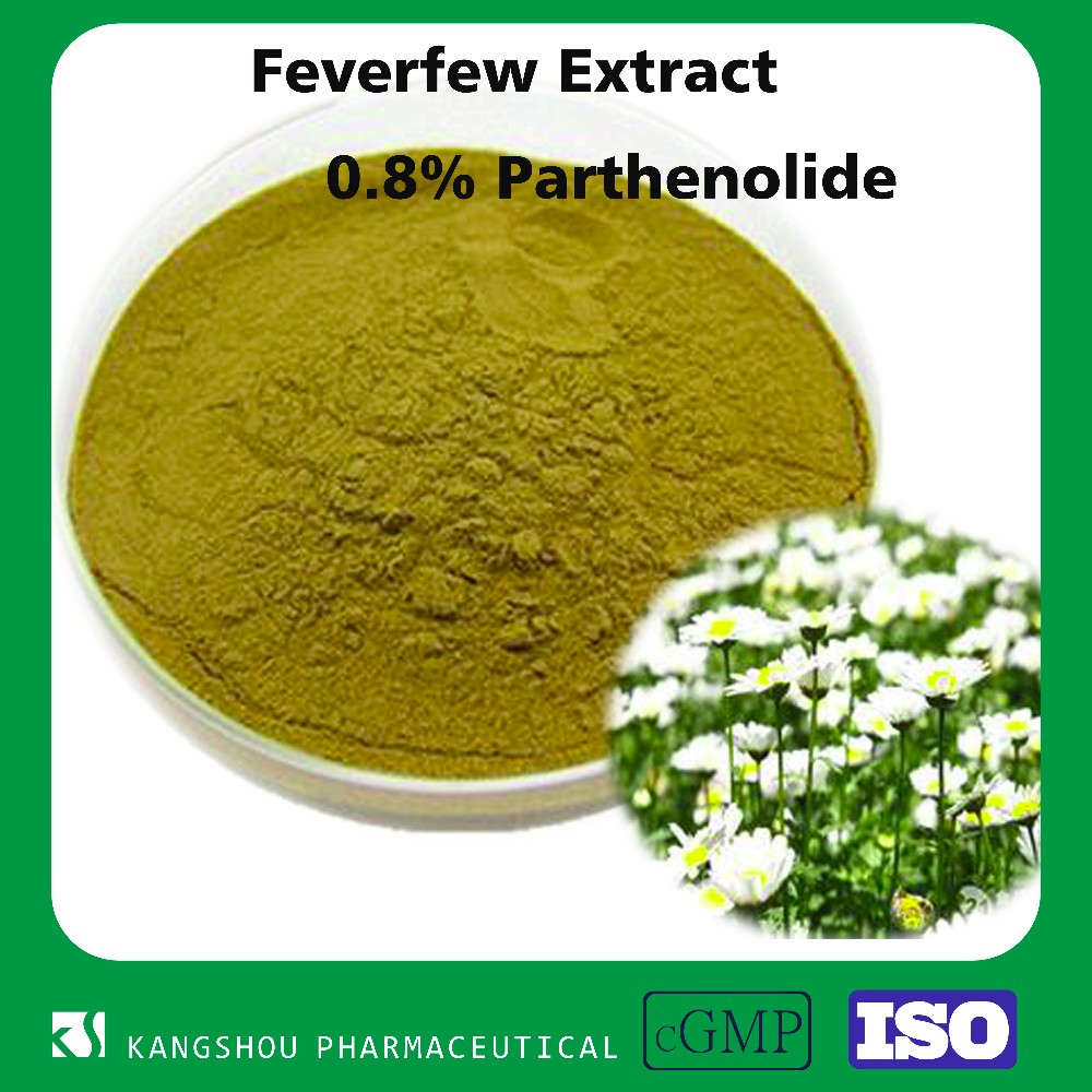 GMP factory supply organic Feverfew extract 0.8% Parthenolide powder