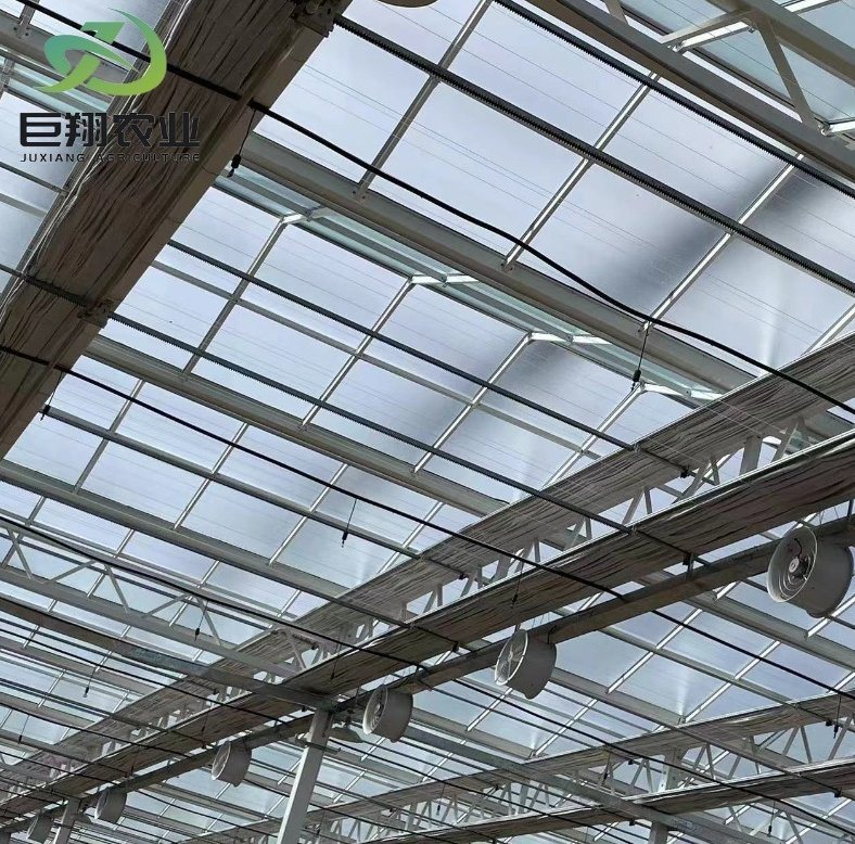 Leafy Vegetable Container Greenhouse Roofing
