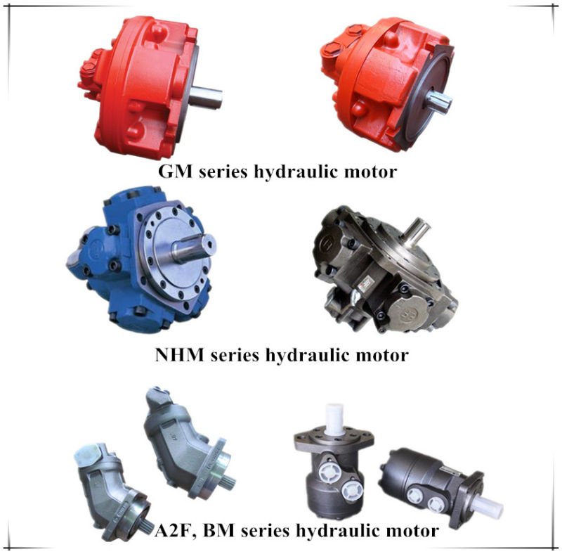 High Quality Low Cost Sai GM Series Hydraulic Motor