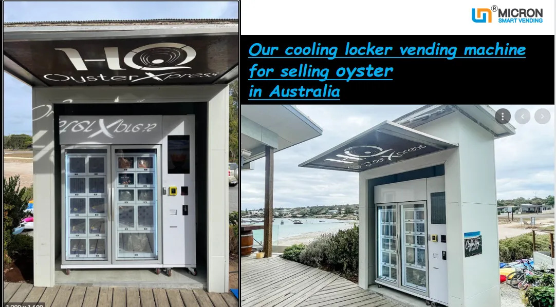 Frozen meat cooling locker vending machine selling oyster in Australia